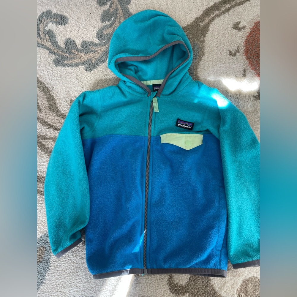 Patagonia Kids' Teal and Blue micro d snap Fleece Hoodie